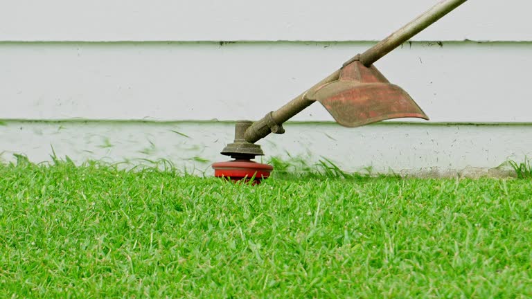 Best Lawn Mowing  in Enon, OH